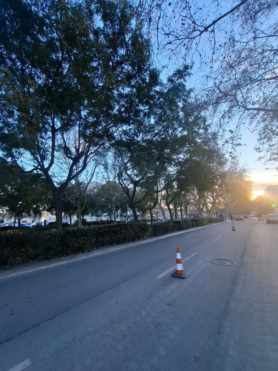 Day, Neighbourhood, Sunset