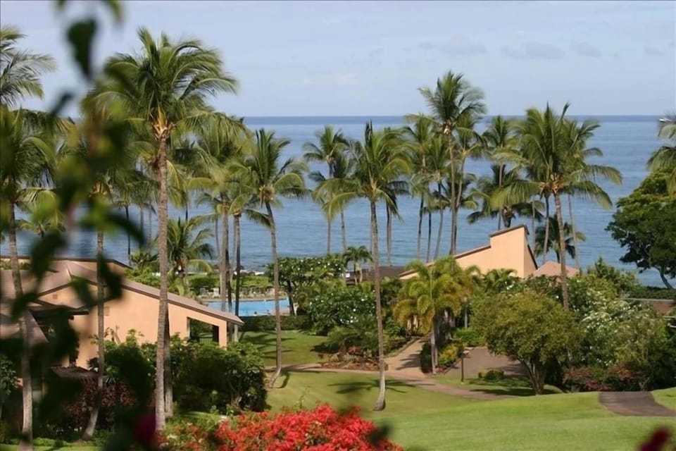 Sea view