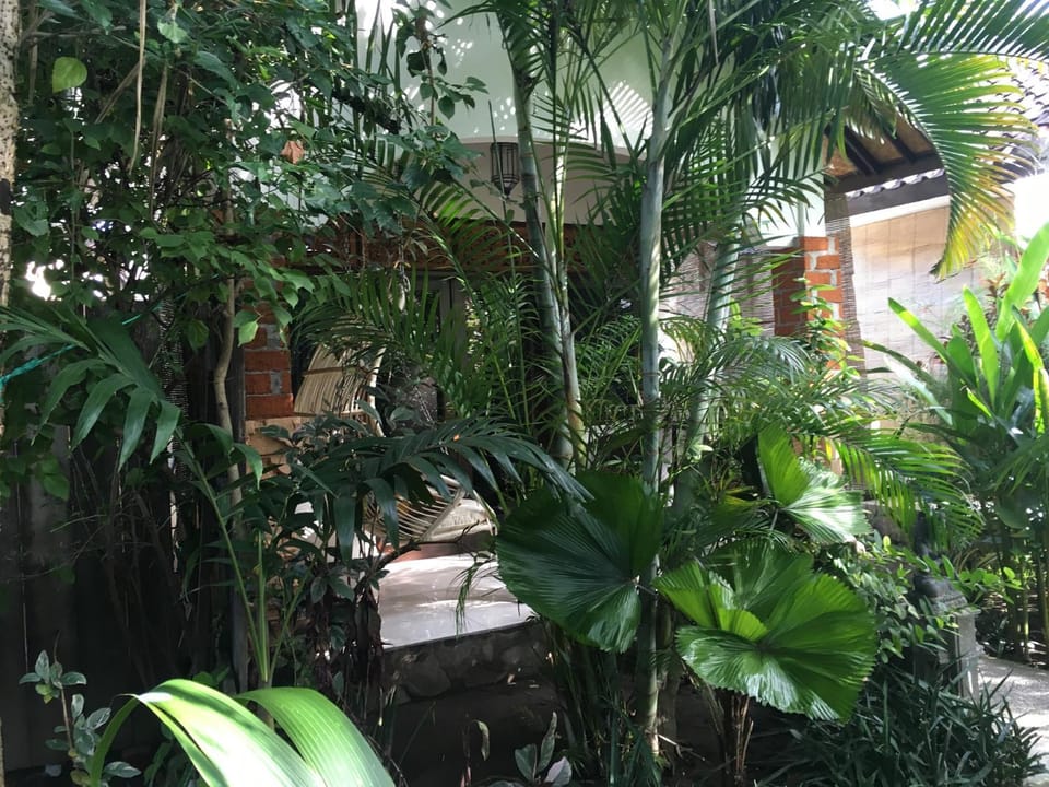 Garden, Balcony/Terrace, Balcony/Terrace