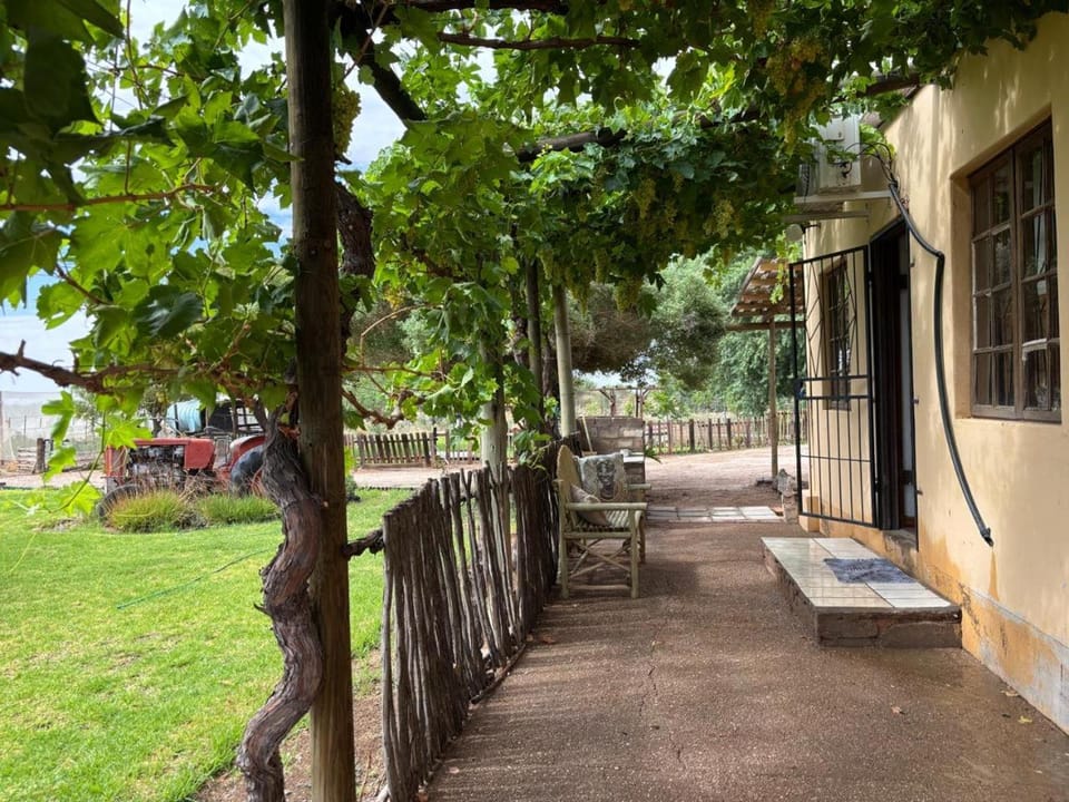 Patio, Balcony/Terrace