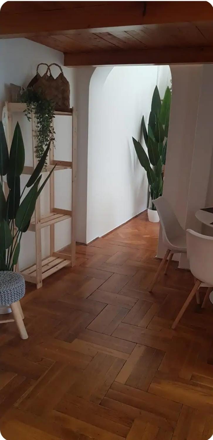 Cozy flats near Kazinczy downtown Apartment in Budapest