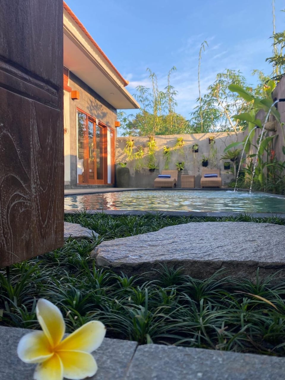 Spring, Garden, Garden view
