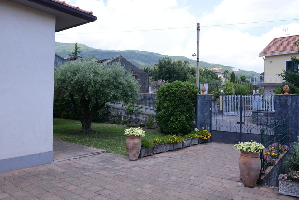 Neighbourhood, Garden, Mountain view