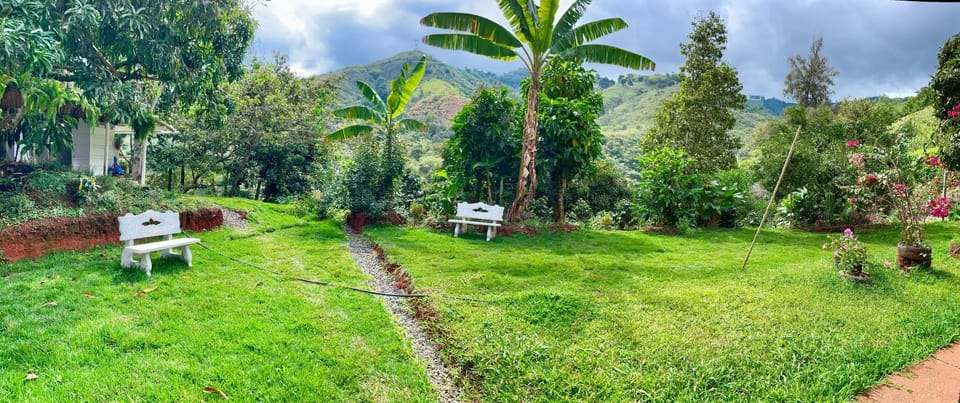 Paraíso Serendipia Bed and Breakfast in Valle del Cauca