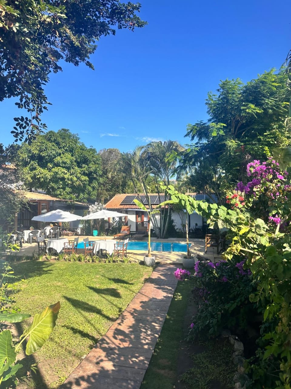 Garden, TV and multimedia