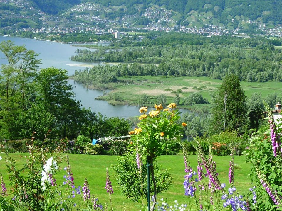 Natural landscape