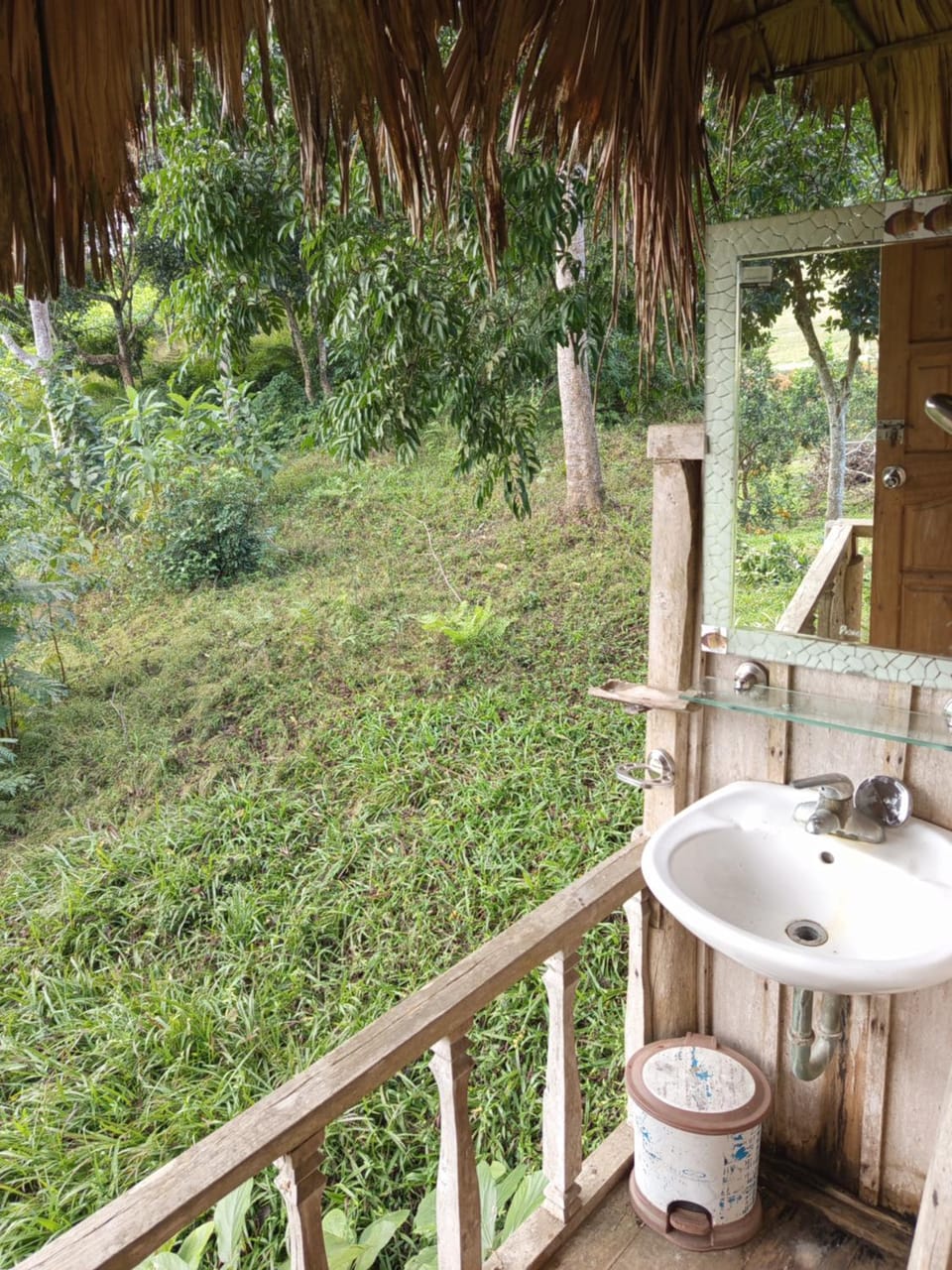 Day, Garden view