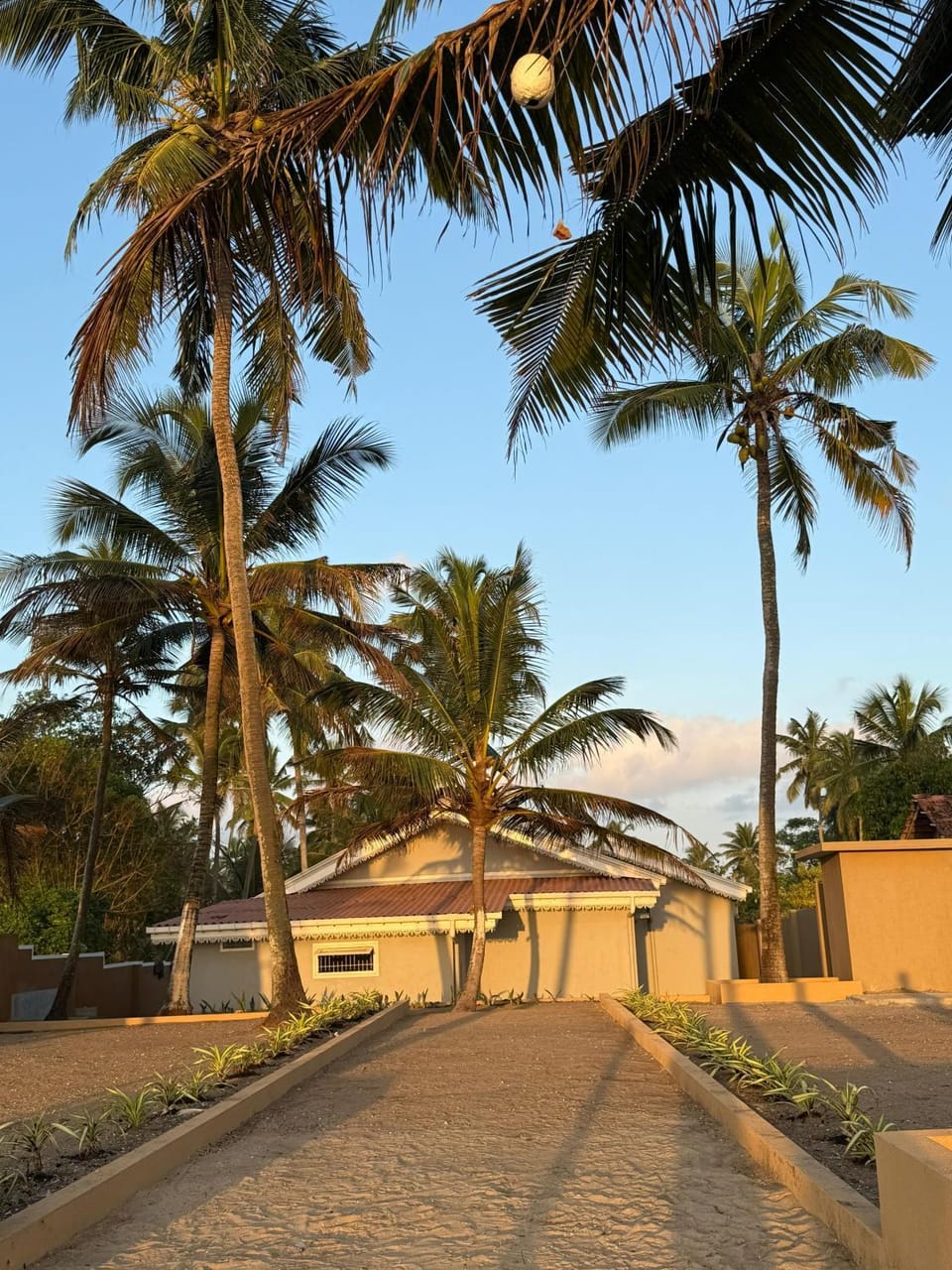 Garden, Garden view