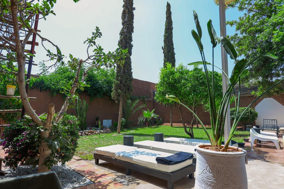 Natural landscape, Garden, Garden view, Pool view, Swimming pool, sunbed