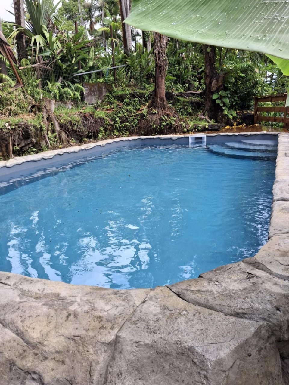 Les Chambres Des Vacoas Apartment in Réunion