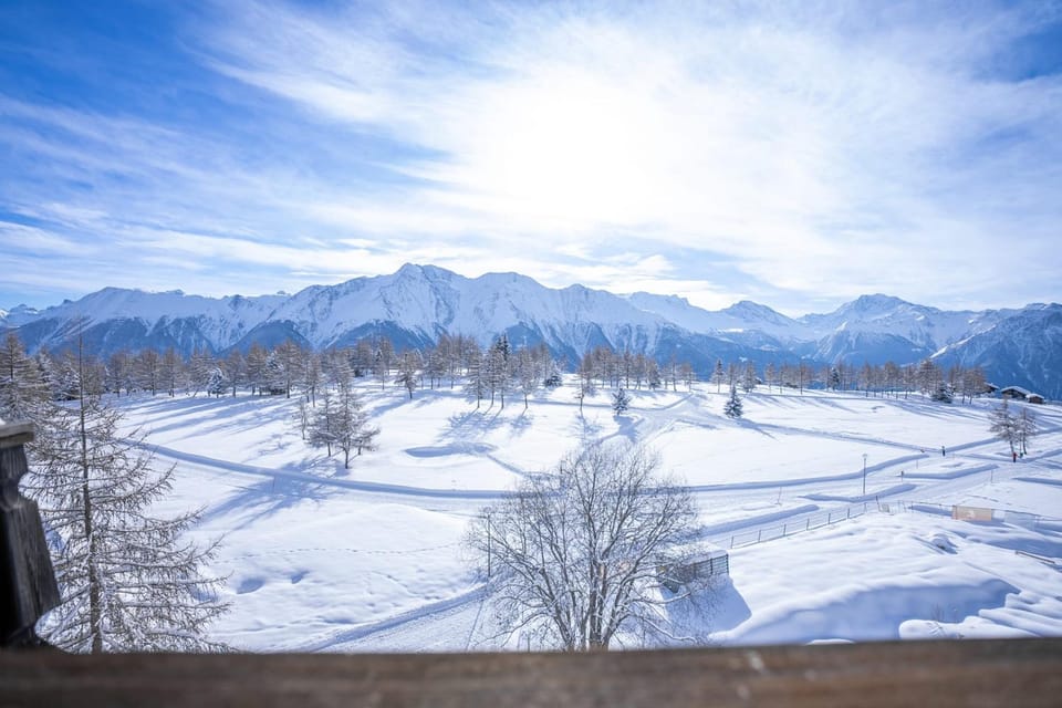 Valaisia 50 Apartment in Canton of Valais