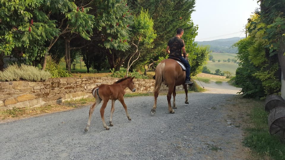 Horse-riding