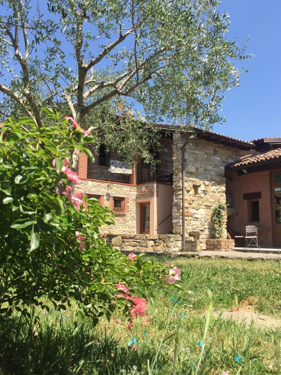 Property building, Day, Garden