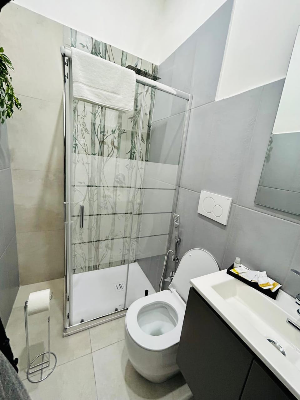 Shower, Toilet, Bathroom