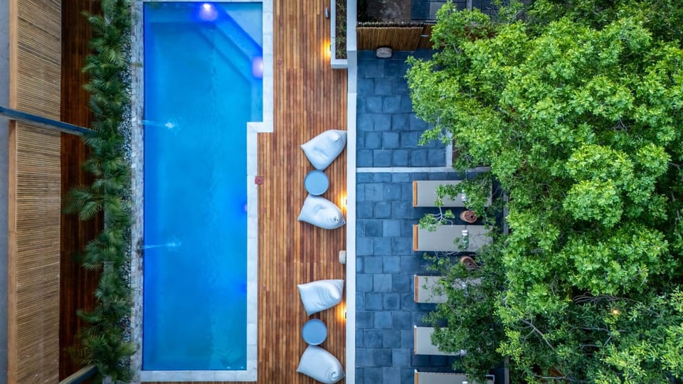 Garden, Garden view, Pool view, Swimming pool, Swimming pool, sunbed