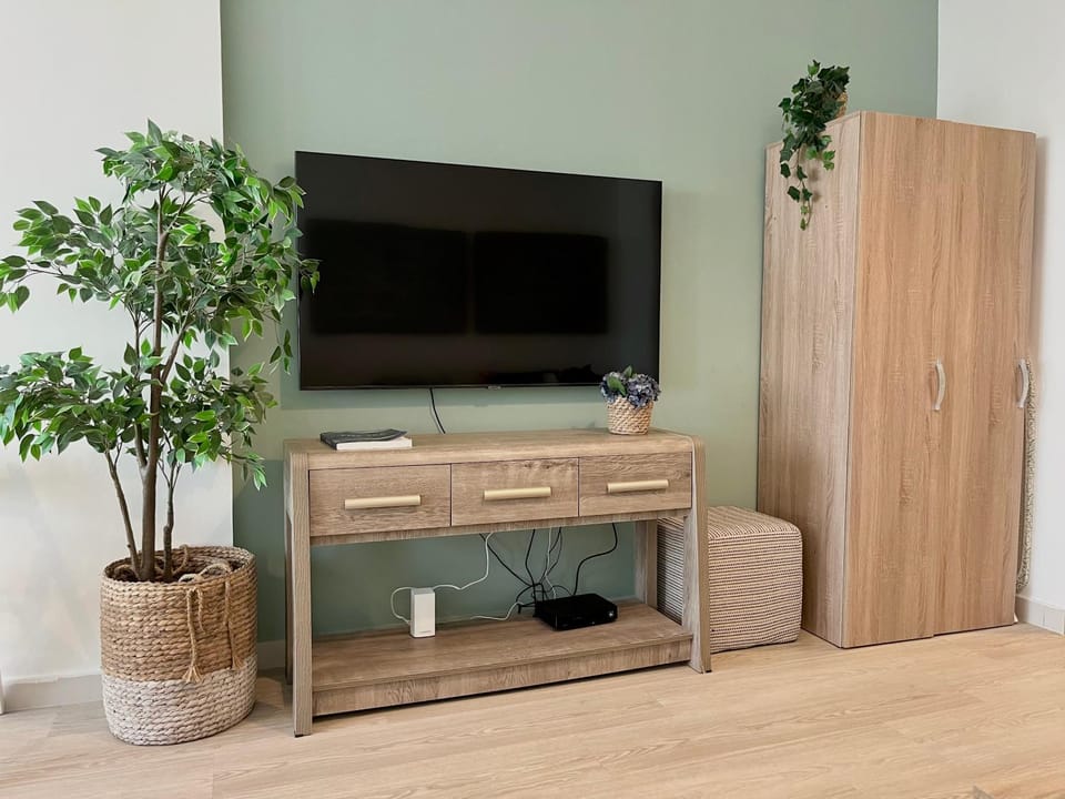 TV and multimedia