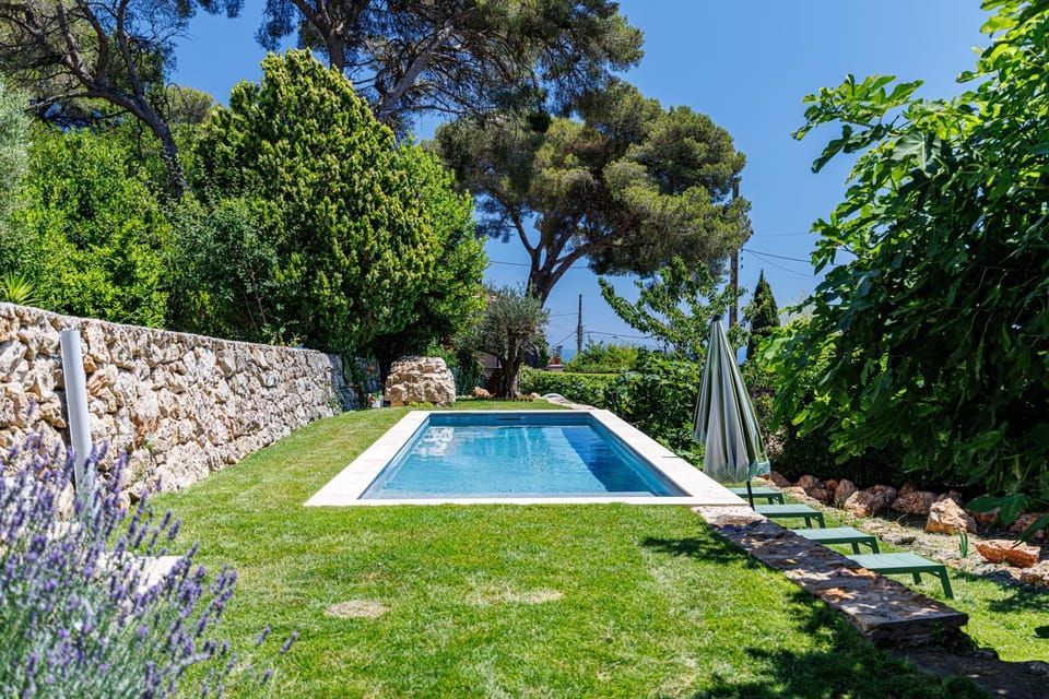 Garden, Swimming pool