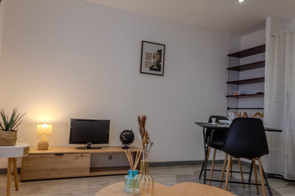 Ti Gat- vue mer - wifi Apartment in Crozon