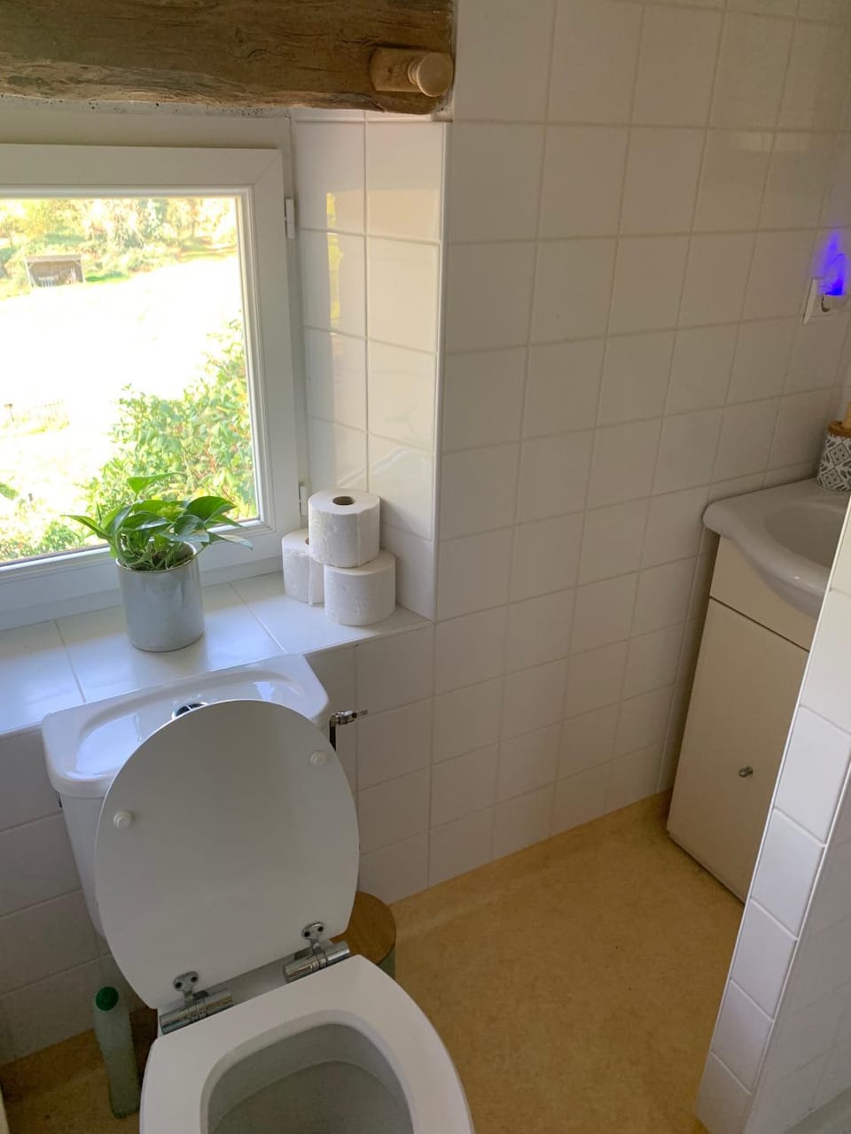 Toilet, Bathroom