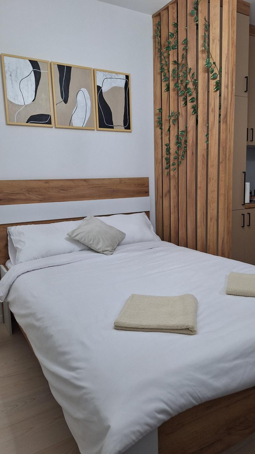 Ella Lux Apartment Apartment in Podgorica