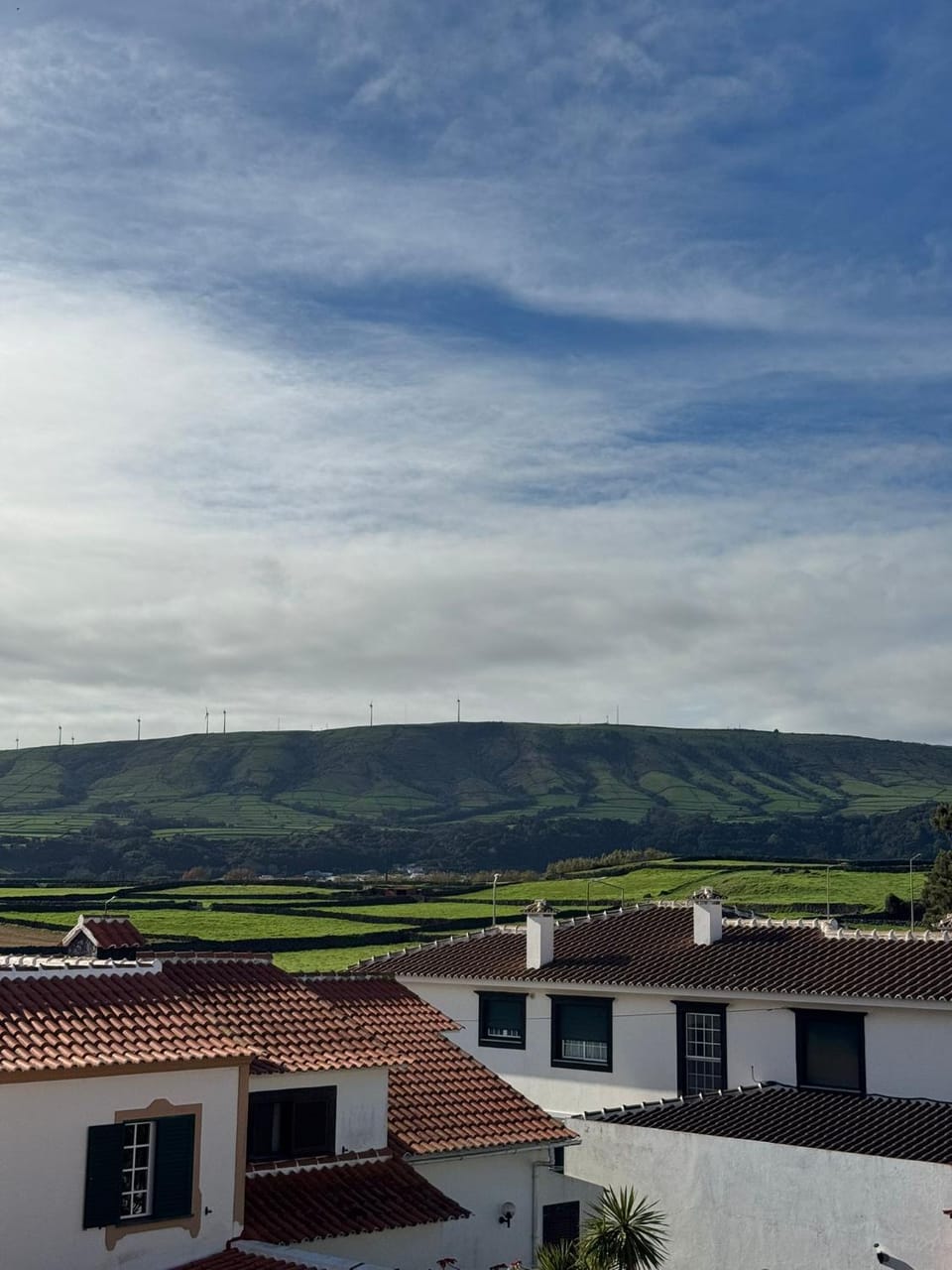 Natural landscape
