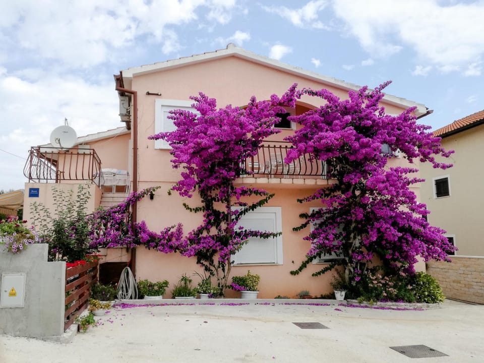 Patio, Facade/entrance, Garden