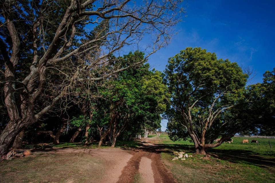 Natural landscape