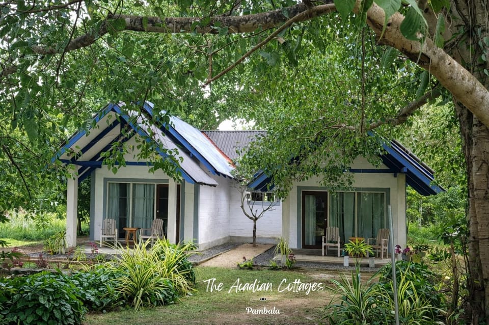 Property building, Natural landscape