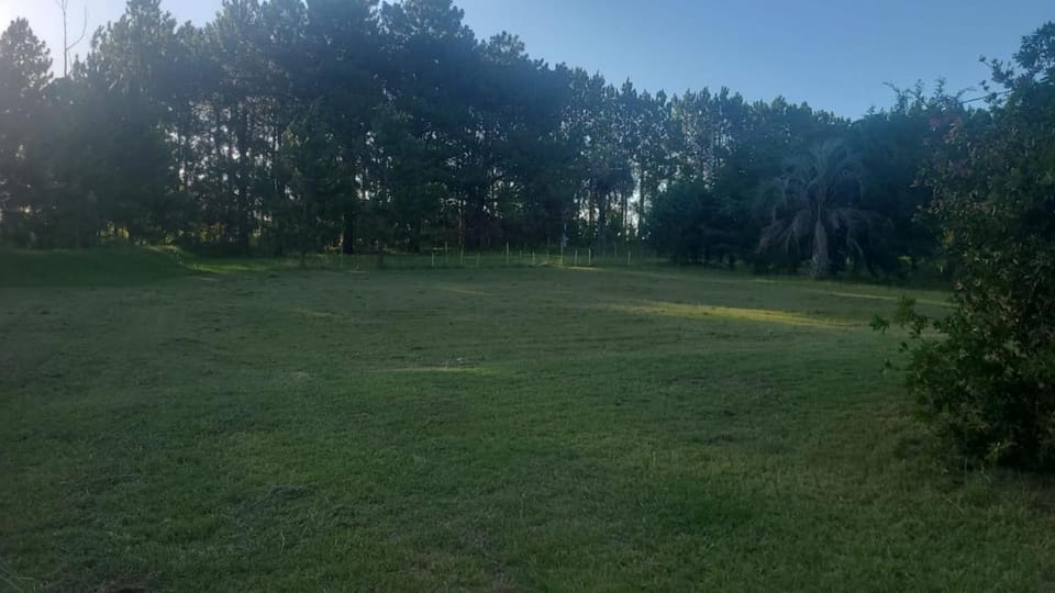 Day, Natural landscape, Garden