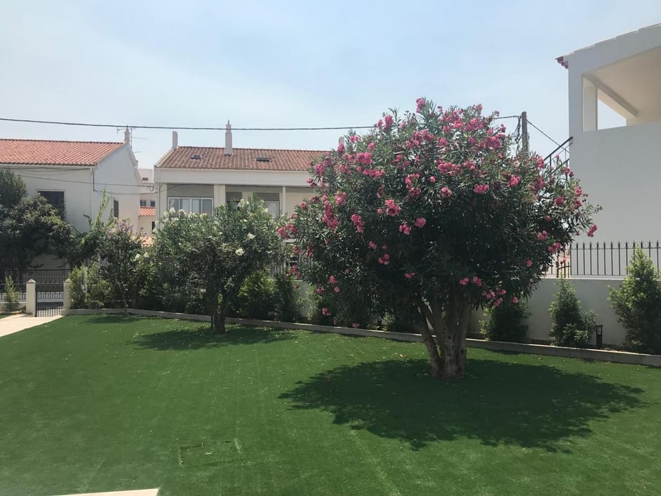 Garden, Garden view, Swimming pool