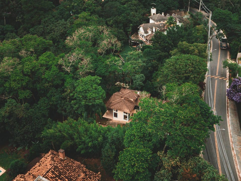 Bird's eye view, Garden, Garden view