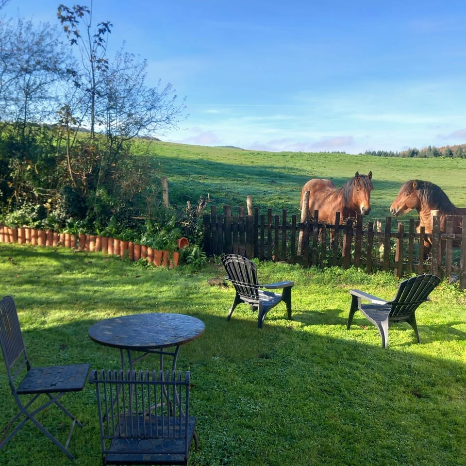 Garden view