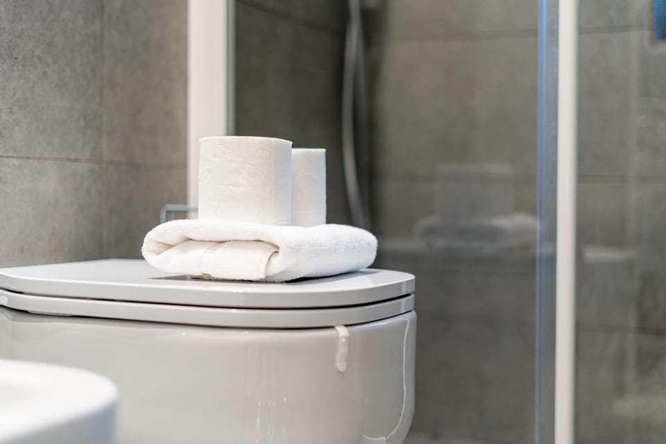 Toilet, Bathroom, towels