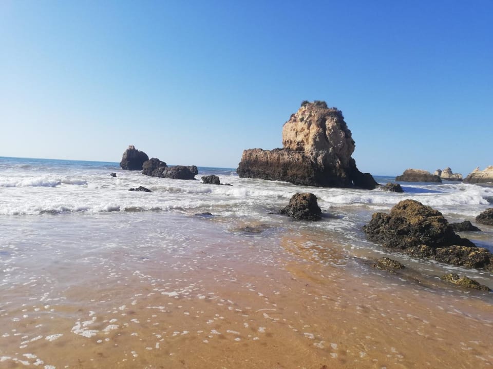 Natural landscape, Beach, Hiking