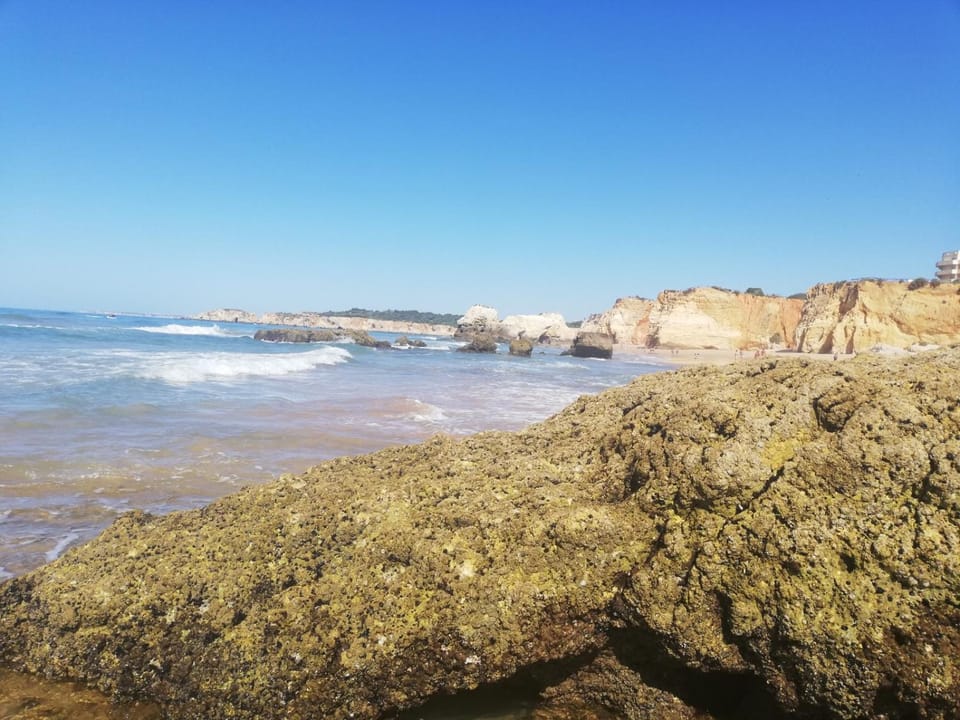 Natural landscape, Activities, Beach, Hiking