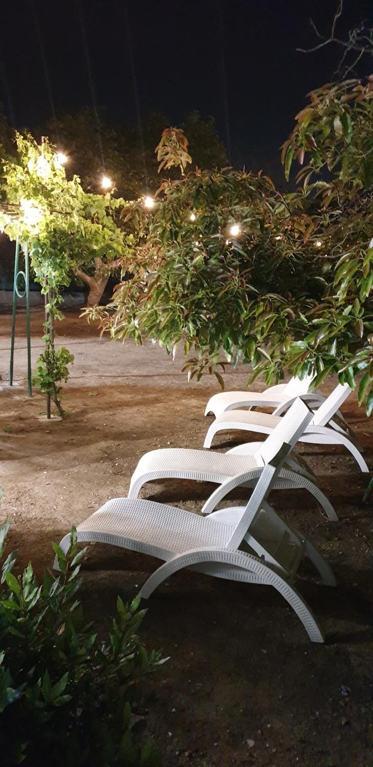 Night, Natural landscape, Garden, Garden view