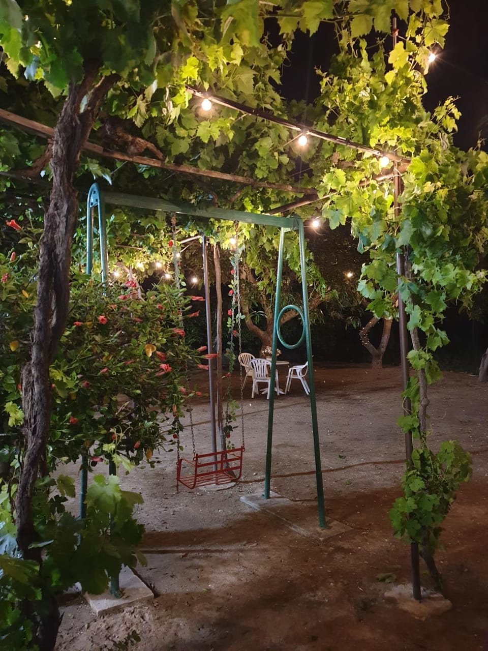 Night, Natural landscape, Garden, Garden view