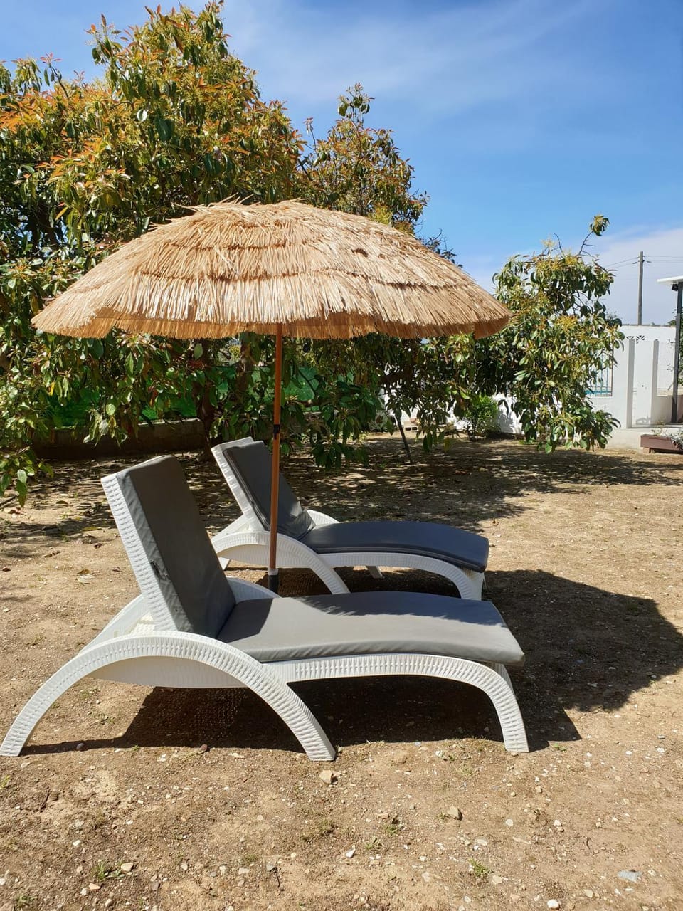 Garden view, sunbed