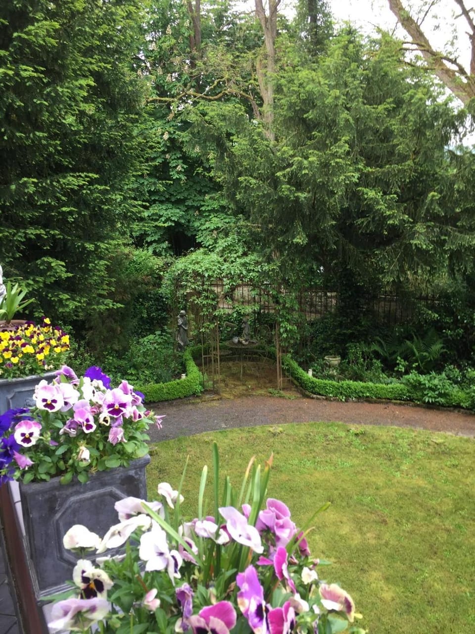 Garden view