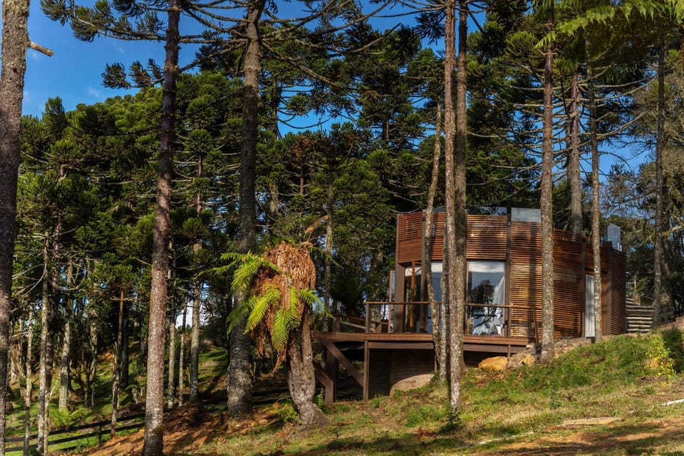 Off site, Garden, Garden view