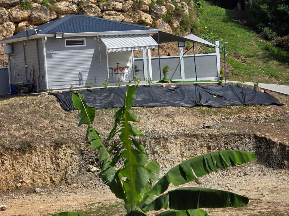 Property building, Garden view
