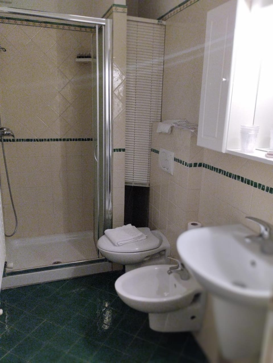 Shower, Toilet, Bathroom, bidet