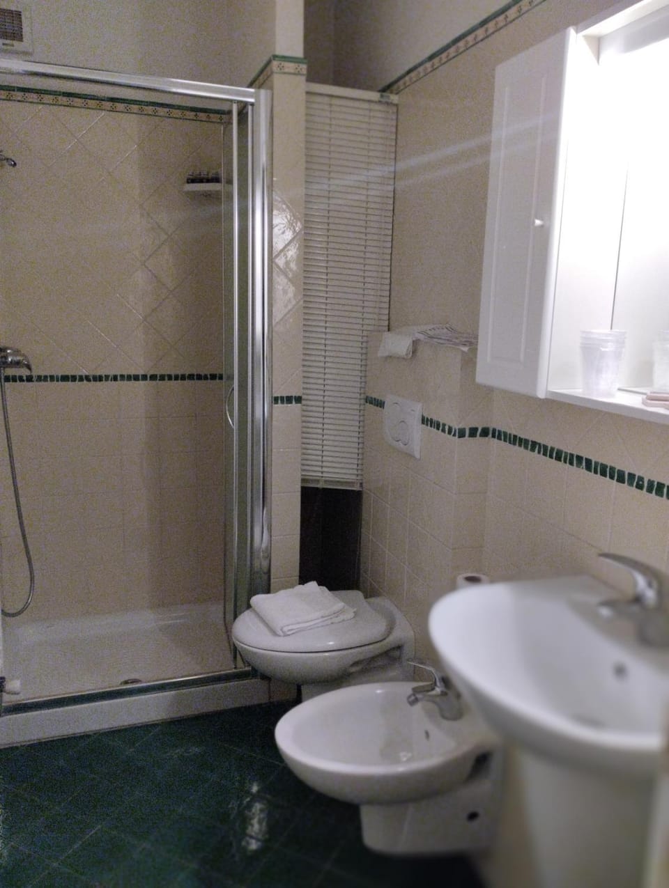 Shower, Toilet, Bathroom, bidet