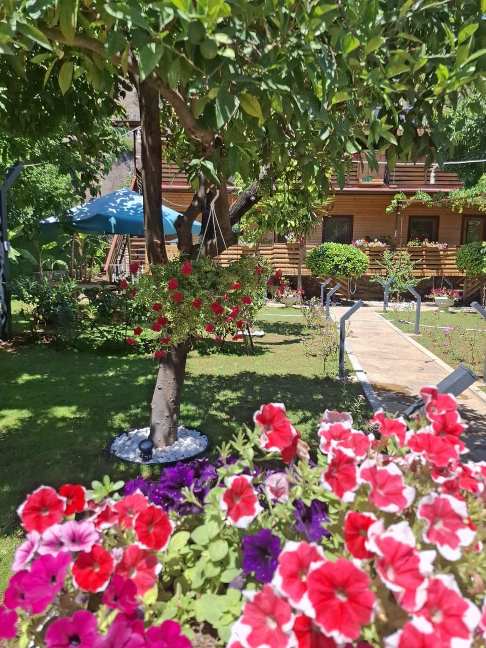 Chimera Pia Aparts Hotel in Antalya Province