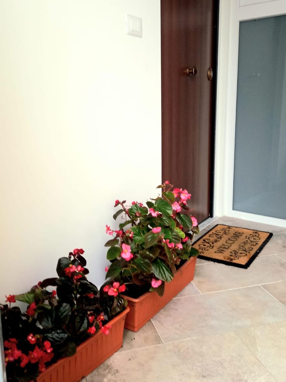 Casa delle begonie Apartment in Rome