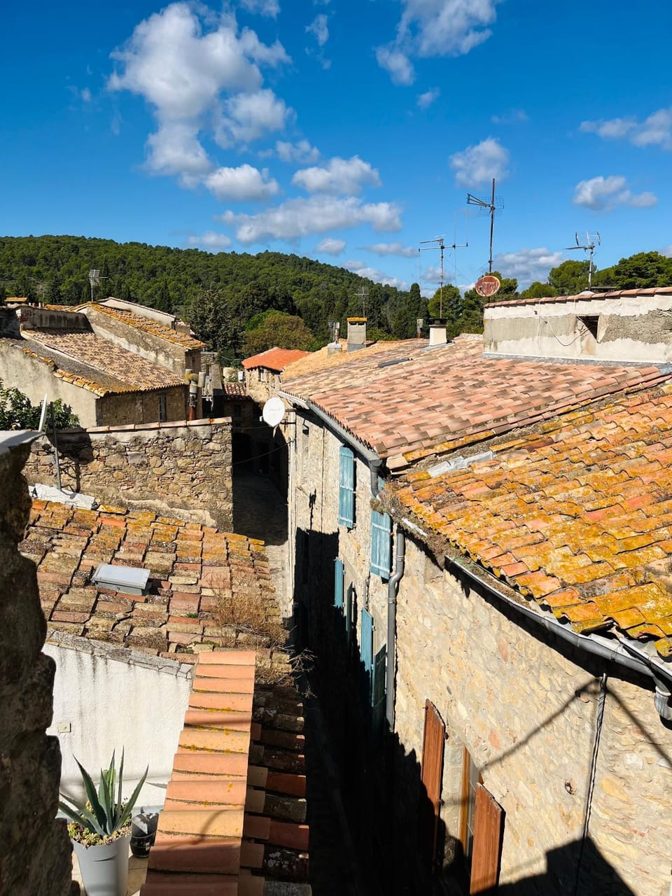 View (from property/room)