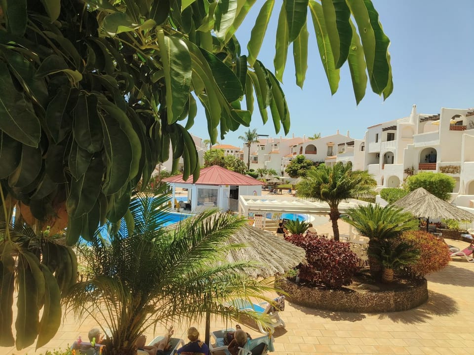 Pool view