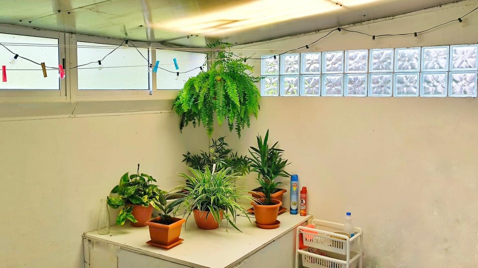 Patio, Inner courtyard view