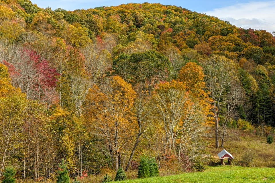 Hike, Ski & More: Blue Ridge Mountain Escape House in Watauga