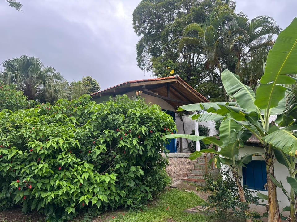 Facade/entrance, Garden